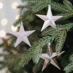 12 Rosane Weihnachtssterne In Praktischer Box