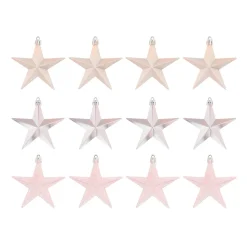12 Rosane Weihnachtssterne In Praktischer Box