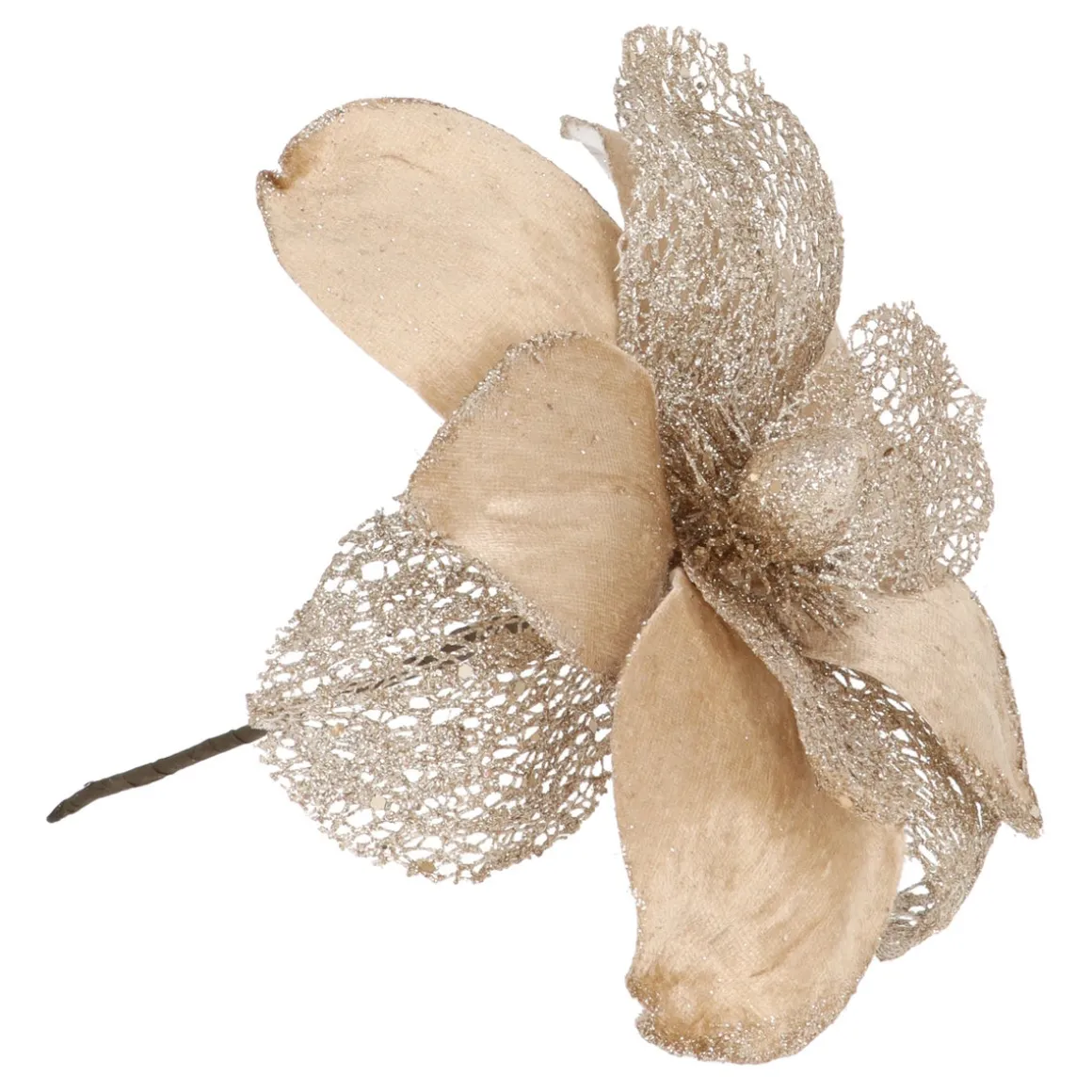 Champagnerfarbene Magnolie Mit Glitzer Und Organza