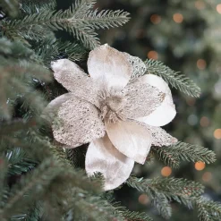 Champagnerfarbene Magnolie Mit Glitzer Und Organza