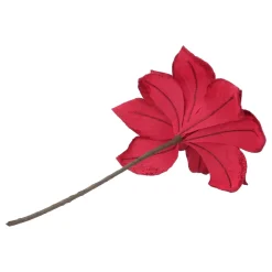 Rote Weihnachtsrose Mit Glitzerblättern