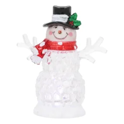 Schneemann Mit Bunter LED-Beleuchtung