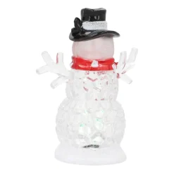 Schneemann Mit Bunter LED-Beleuchtung