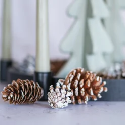 Tannenzapfen-Sterne-Mix Zur Deko, 300 G