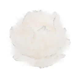 Weihnachtskugel Mit Federn, Weiß, Kunststoff, 9 Cm